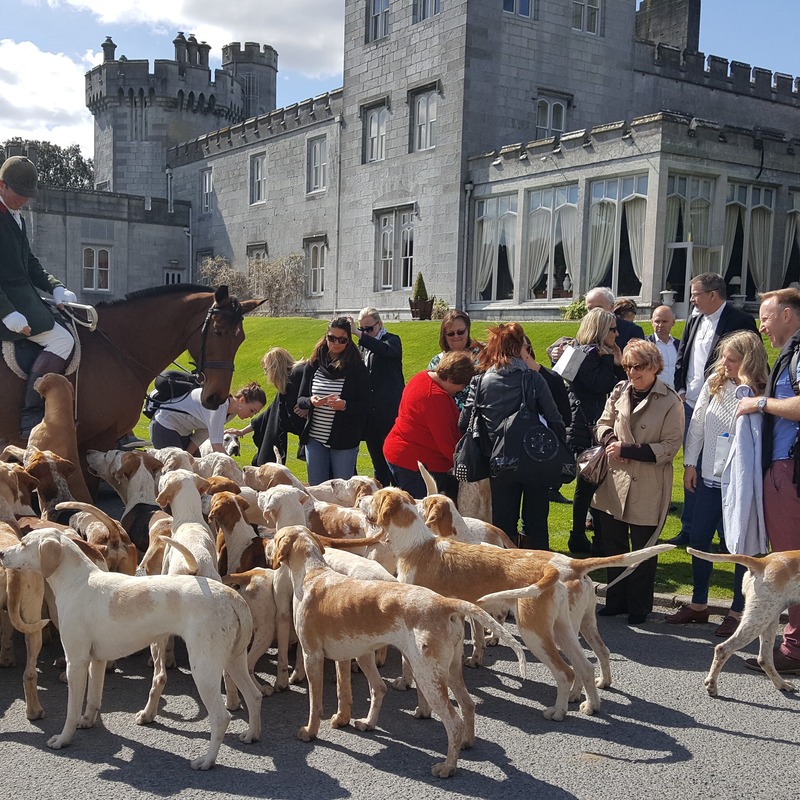 Arrival meet n greet, welcome events